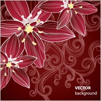 gorgeous pattern background 05 vector