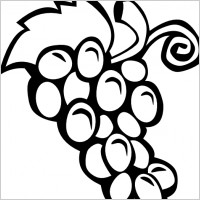 Grape Vine clip art