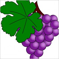 Grape With Vine Leaf clip art
