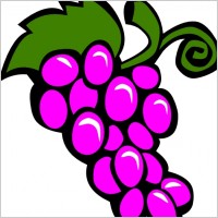 Grapes Vine clip art