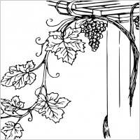 Grapevine clip art