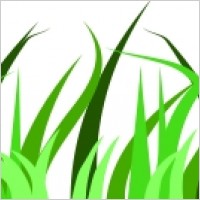 Grass