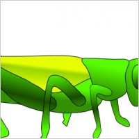 Grass Hopper clip art