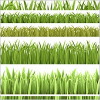 grass material
