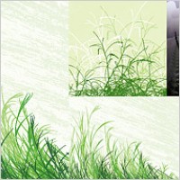 grass material vector