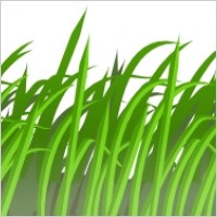 Grass Texture clip art