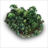 Grassy Stone
