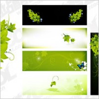 Green butterfly TV vector material