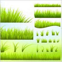 Vector Grass