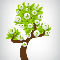 green icon 01 vector