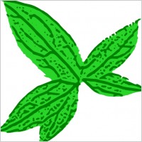 Green Leaf clip art