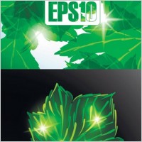 green leaves background vector