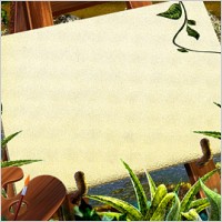 Green rattan plants    Sketchpad