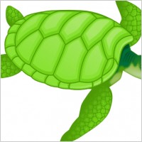 Green Sea Turtle Clip Art