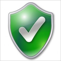 Green sheld tick