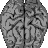 Grey Brain clip art