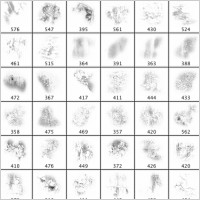 Grunge Brushes 8