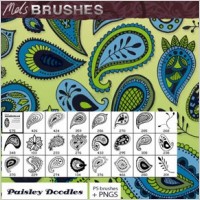 Hand drawn paisley