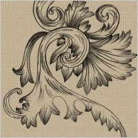 hand drawn swirl ornaments free vector and photoshop brush