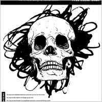 Hand Drawn Vector Skull