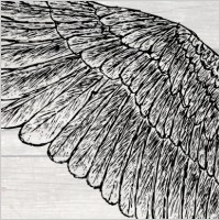 Hand Drawn Wings
