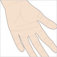 Hand Palm clip art