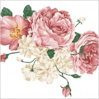 handdrawn style vector flowers
