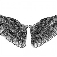HandDrawn Wings 