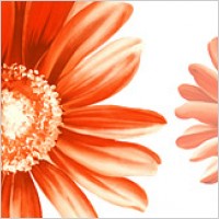 Hand-painted flowers layered material psd-12