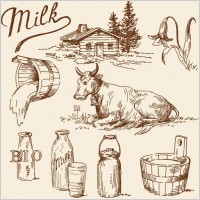 handpainted ranch vector