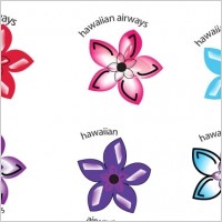 Hawaiian Air
