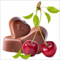 heartshaped chocolate and cherry vector
