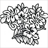

								Hibiscus							