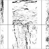 high resolution tree bark texture brush