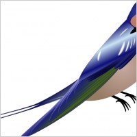 Hirundo clip art