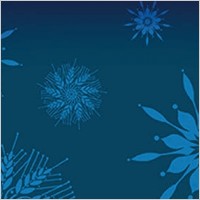 Holiday snowflakes vector