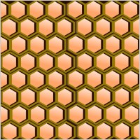 Honeycomb Cells