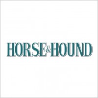 horse hound