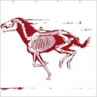 horse silhouette skelett stencil