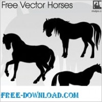 Horse Vectors silhouettes
