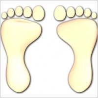 Human 2