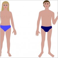 Human body, man and woman