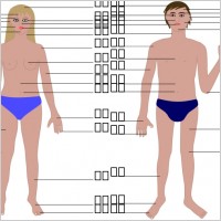 Human body, man and woman, with numbers