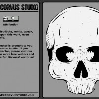 Human Skull