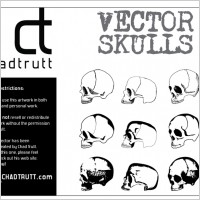 Human Skulls