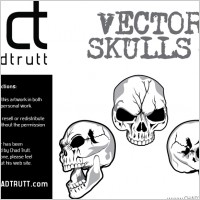 Human Skulls 4