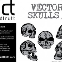 Human Skulls 5