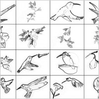 humming bird brush