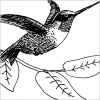 Found some Free vector relate (free printable hummingbird stencils) in ...