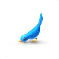 Hungry bird